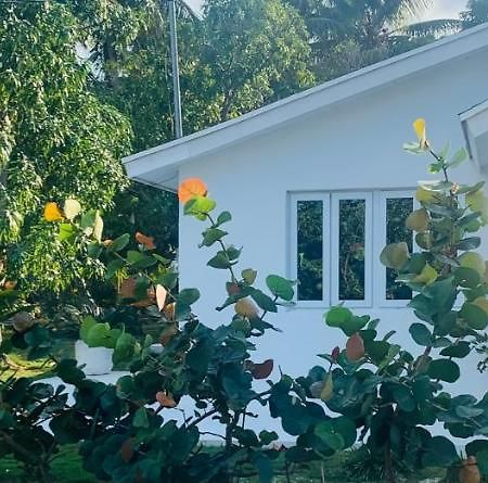 Отель The Cay House Mangrove Cay Экстерьер фото