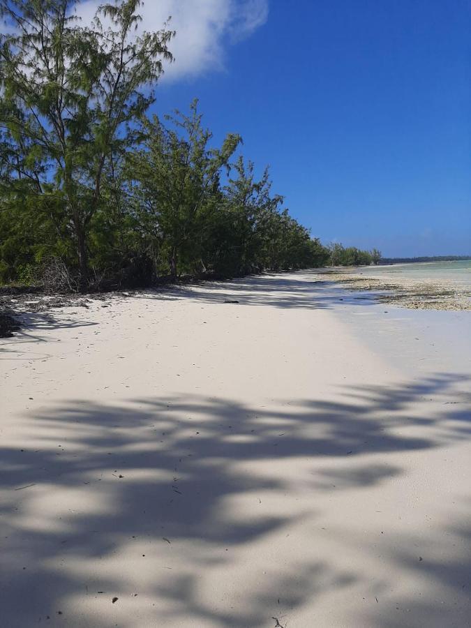 Отель The Cay House Mangrove Cay Экстерьер фото